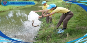 วันที่ 17 ต.ค.68 เวลา 08.00 น. ตม.จว.เพชรบุรี ร่วมกันทำบุญปล่อยปลา เนื่องใน “วันตำรวจ” ประจำปี 2568