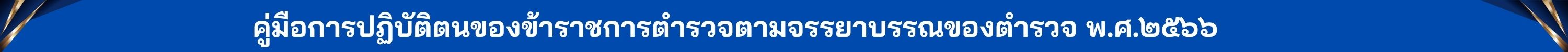 เส้นคั่นคู่มือ 2