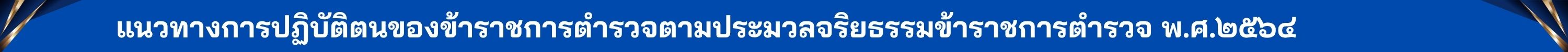 เส้นคั่นแนวทาง 1