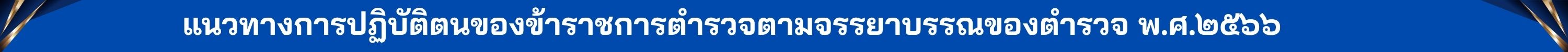 เส้นคั่นแนวทาง 2